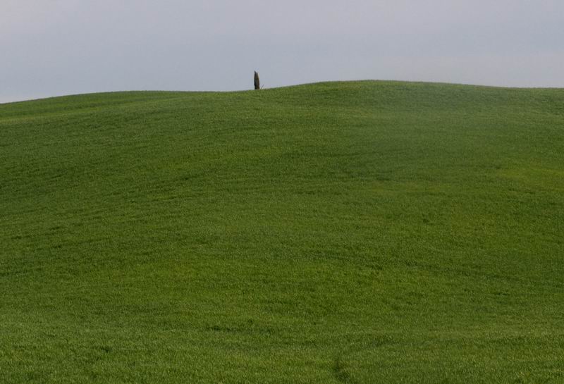 Terra di Siena